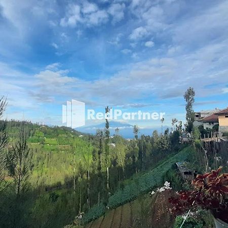 Bromo Indah Lestari Homestay Mitra Reddoorz Pasuruan Exterior photo